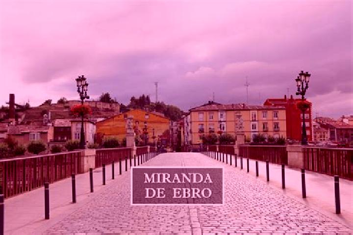 Sophia, 25 — Escort in Alcala de Ebro, Spain