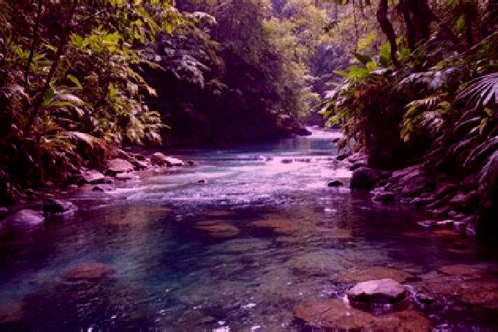 Sophia, 26 — Escort in Agua Santa del Yuna, Dominican Republic