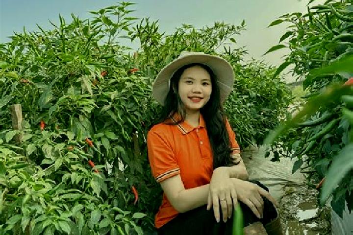 Sophia, 26 — Escort in Co To, Vietnam