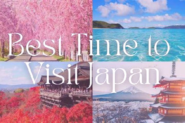 Sophia, 26 — Escort in Tatsumi, Japan