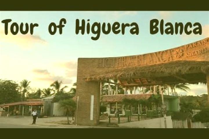 Sophia, 27 — Escort in Higuera Blanca, Mexico