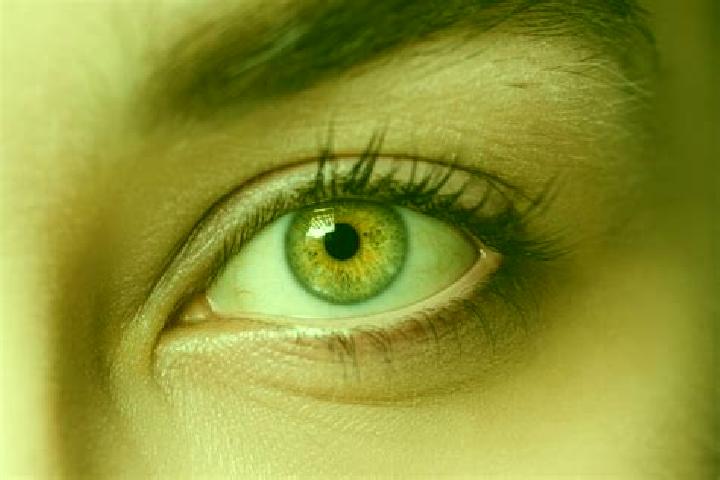 Sophia, 28, a black hazel-eyed mixed companion based in Rioja. Offering BDSM, Erotic Massage, Dinner Date, 69. Available for incall and outcall, overnight bo...