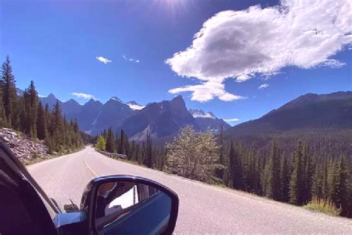 Sophia, 28 — Escort in Blair Road, Canada