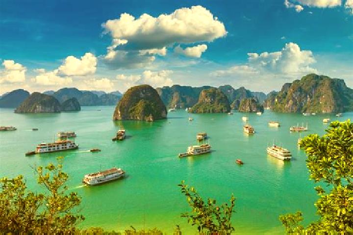 Sophia, 28 — Escort in Ha Trung, Vietnam
