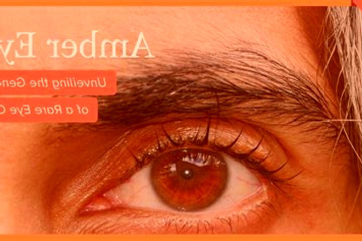 Sophia, 31, a black amber-eyed caribbean companion based in Perledo. Offering Prostate Massage, A-Level, OWO. Available for incall and outcall, day and eveni...