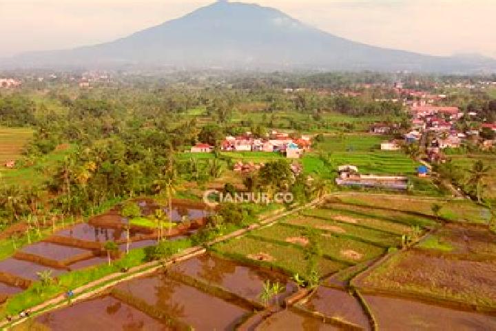 Sophia, 31 — Escort in Karangtengah, Indonesia