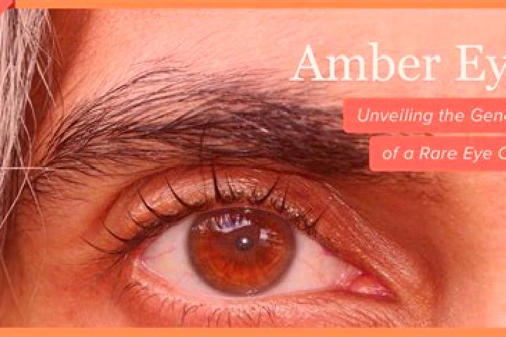 Sophia, 32, a red amber-eyed caribbean companion based in Antiesenhofen. Offering A-Level, Deep French Kissing, Dinner Date, 69. Available for incall and out...