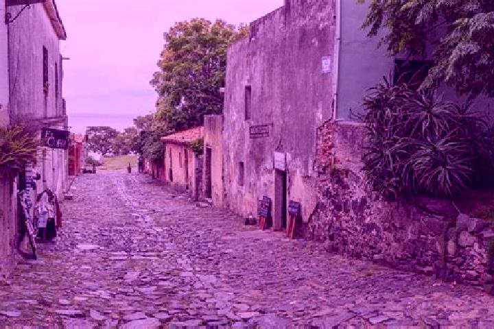 Sophia, 32 — Escort in Colonia del Valle, Mexico