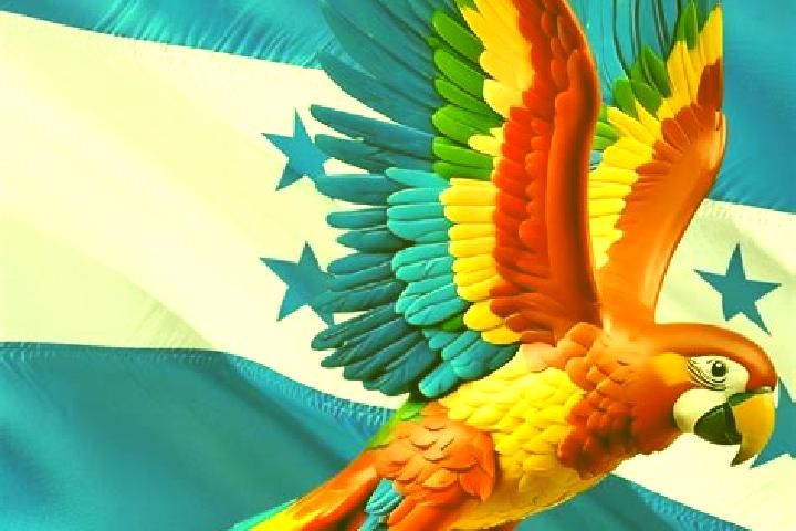 Sophia, 32 — Escort in Oropendolas, Honduras