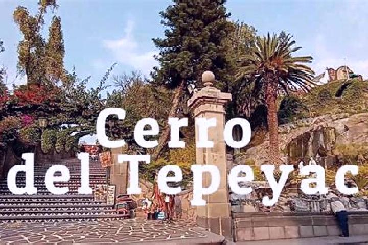 Sophia, 32 — Escort in San Francisco Tepeyecac, Mexico
