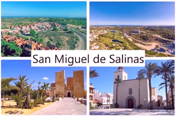Sophia, 32 — Escort in San Miguel de Salinas, Spain