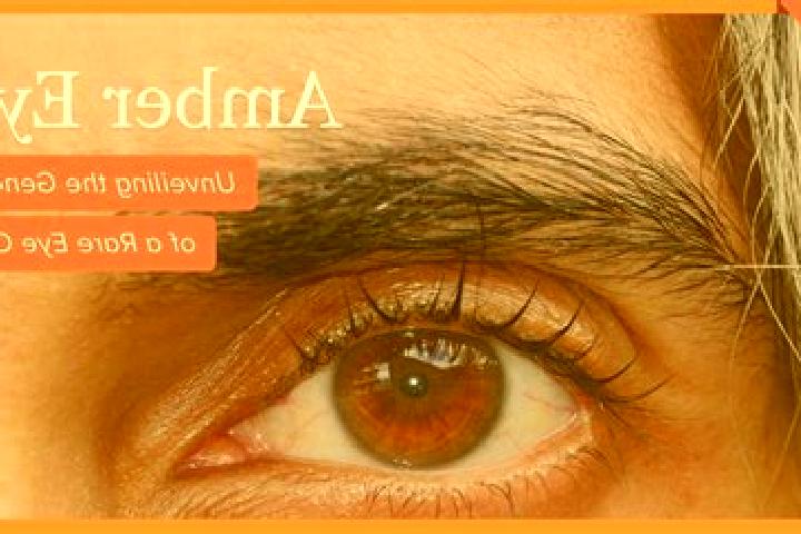 Sophia, 33, a red amber-eyed middle eastern companion based in Ct 0017. Offering Travel Companion, Fetish, CIM, GFE. Available for incall and outcall, day an...
