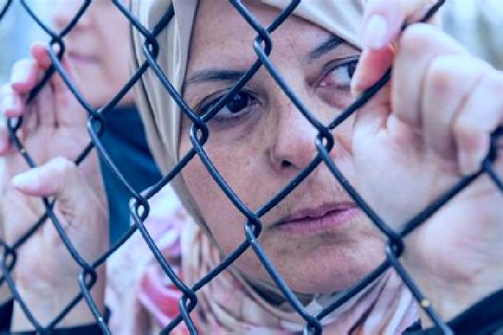 Sophia, 33 — Escort in Karmah, Palestine