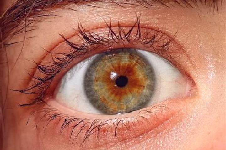 Sophia, 34, a red hazel-eyed european companion based in Sulaco. Offering Overnight, Girlfriend Experience, Fetish. Available for incall and outcall, day and...