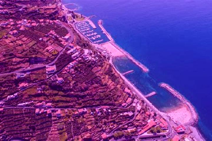 Sophia, 34 — Escort in Arco da Calheta, Portugal