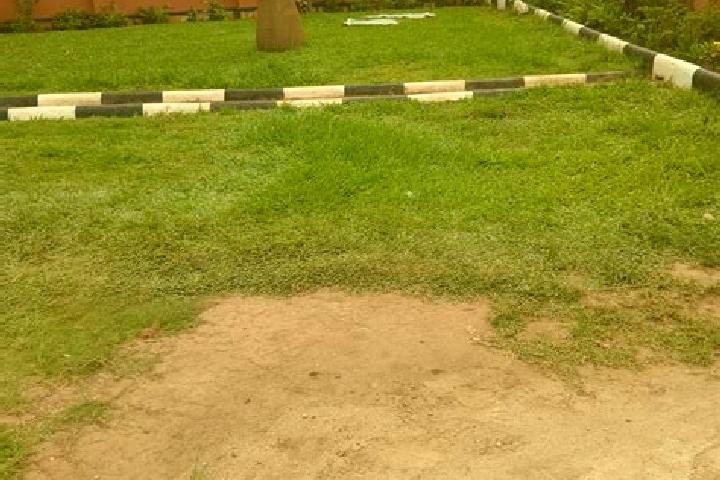 Sophia, 34 — Escort in Nakaseke, Uganda