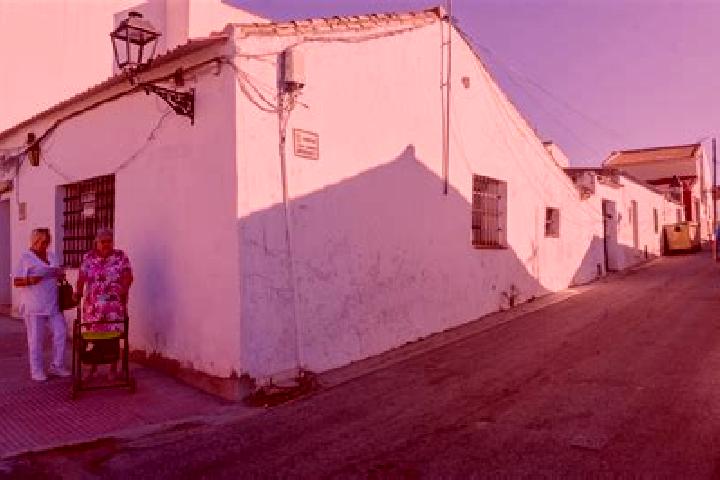 Sophia, 35 — Escort in El Garrobo, Spain