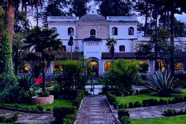 Sophia, 36 — Escort in Francisco Primo de Verdad (Cienega de Mata), Mexico