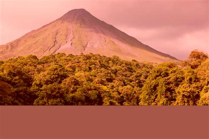 Sophia, 36 — Escort in San Miguel del Arenal, Mexico