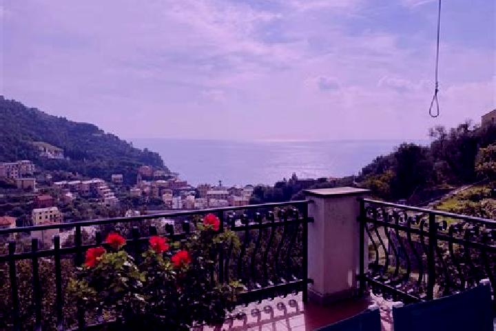 Sophia, 37 — Escort in Bonassola, Italy