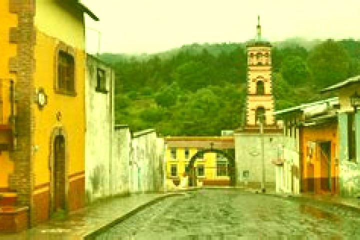 Sophia, 37 — Escort in San Nicolas el Oro, Mexico