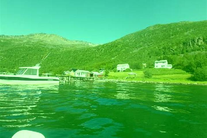 Sophia, 38 — Escort in Burfjord, Norway
