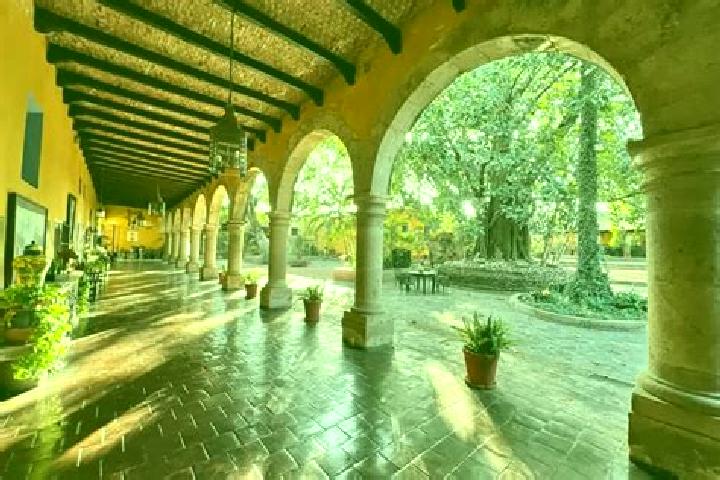 Sophia, 38 — Escort in Hacienda de la Bolsa, Mexico