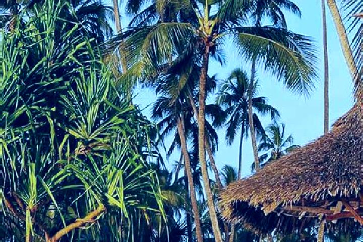 Sophia, 38 — Escort in Nyamuswa, Tanzania