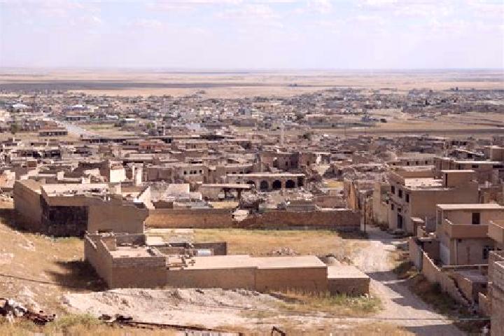 Sophia, 38 — Escort in Sinjar, Iraq