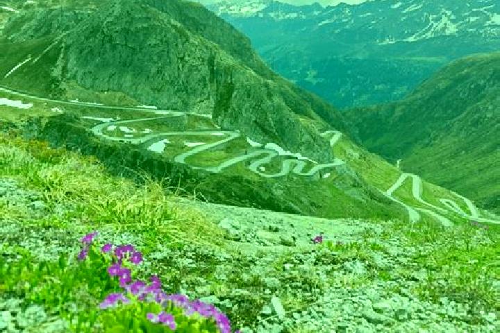Sophia, 39 — Escort in Airolo, Switzerland