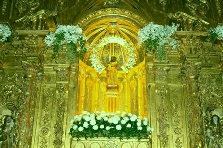 Stella, 20 — Escort in Ermita de Guadalupe, Mexico