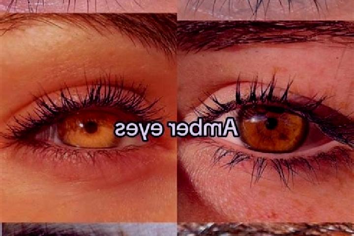 Stella, 22, a chestnut amber-eyed middle eastern companion based in Sardarapat. Offering Domination, CIM, Prostate Massage, Duos, Girlfriend Experience. Avai...