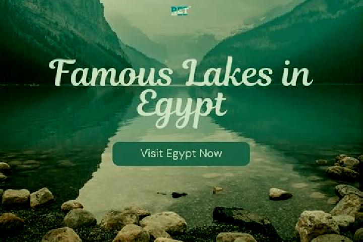 Stella, 23 — Escort in Munsha at Abu Umar, Egypt