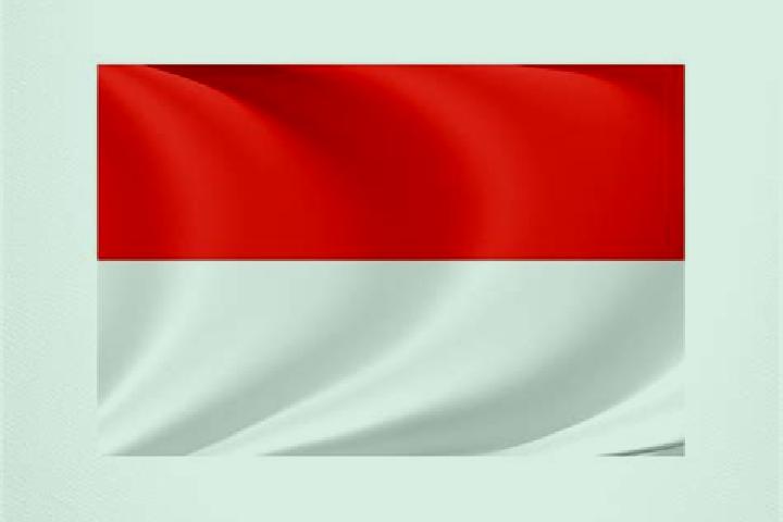 Stella, 23 — Escort in Pucanglaban, Indonesia