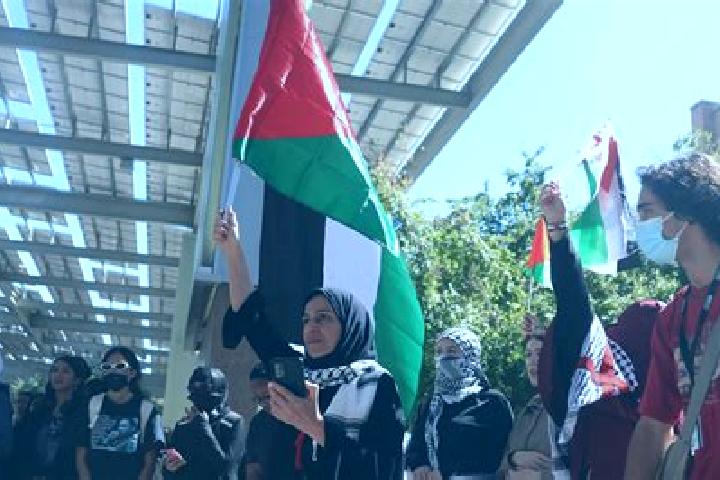 Stella, 24 — Escort in Az Zuwaydah, Palestine