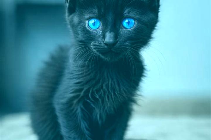 Stella, 25, a black blue-eyed caribbean companion based in Merkwiller-Pechelbronn. Offering BDSM, Dinner Date, Fetish, Couples. Available for incall and outc...