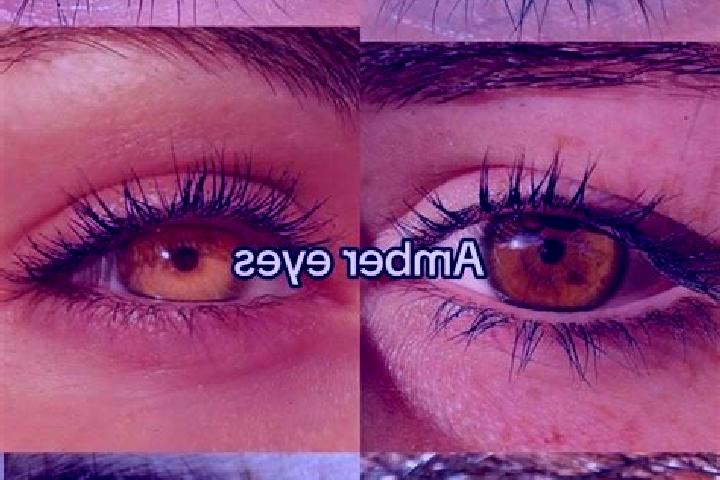 Stella, 25, a chestnut amber-eyed ebony companion based in Pruezen. Offering Overnight, Couples, OWO. Available for incall and outcall, day and evening dates.