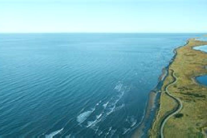 Stella, 25 — Escort in Bouctouche, Canada