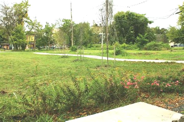 Stella, 26 — Escort in Central Forest Park, United States