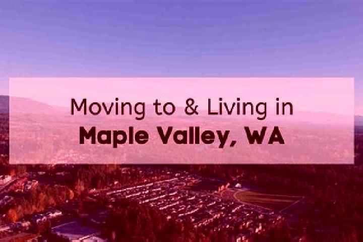 Stella, 26 — Escort in Maple Valley, United States