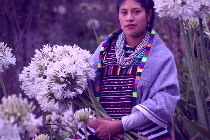 Stella, 26 — Escort in San Jose Xochixtlan, Mexico