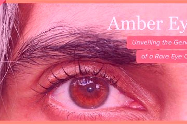Stella, 27, a red amber-eyed caribbean companion based in Alemanguan. Offering A-Level, Massage, Tantra, Erotic Massage, Duos. Available for incall and outca...