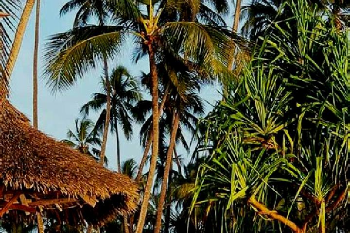 Stella, 28 — Escort in Chala, Tanzania
