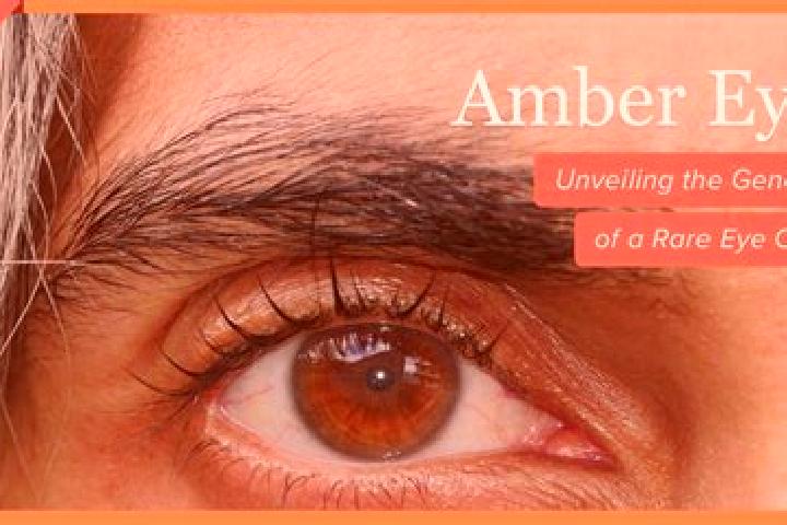 Stella, 29, a black amber-eyed indian companion based in Yaem. Offering Travel Companion, A-Level, GFE. Available for incall and outcall, day and evening dates.