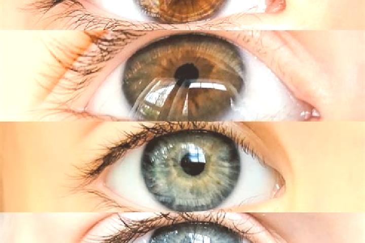 Stella, 29, a chestnut dark-eyed mixed companion based in Cayaco. Offering Prostate Massage, Duos, OWO, CIM, 69. Available for incall and outcall, day and ev...