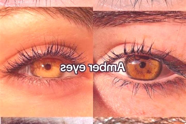 Stella, 31, a brunette amber-eyed european companion based in Dambudas. Offering GFE, Duos, BDSM. Available for incall and outcall, overnight bookings availa...