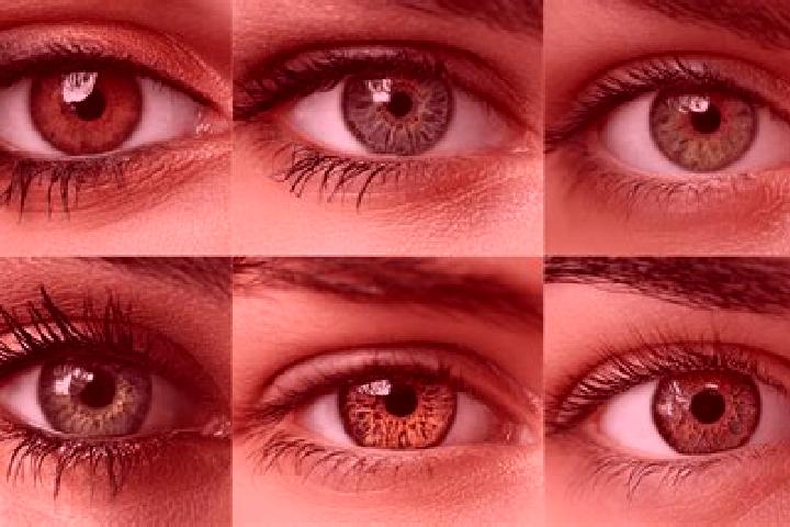 Stella, 31, a red hazel-eyed caribbean companion based in Urbisaglia. Offering Party Girl, Fetish, Tantra. Available for incall and outcall, day and evening ...