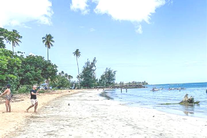 Stella, 32 — Escort in Luquillo, Puerto Rico