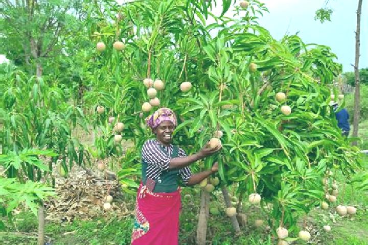 Stella, 33 — Escort in Kitui, Kenya