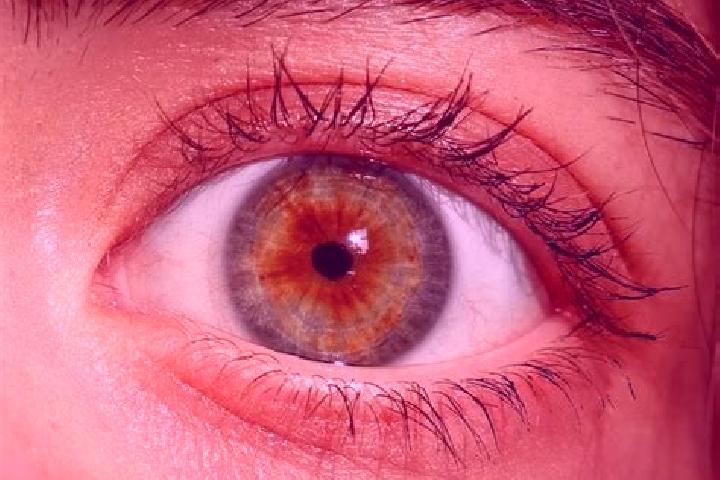 Stella, 34, a red hazel-eyed middle eastern companion based in Kyzyl-Jol. Offering Overnight, 69, BDSM, Domination, Couples. Available for incall and outcall...